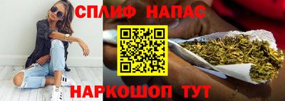 гидра Партизанск