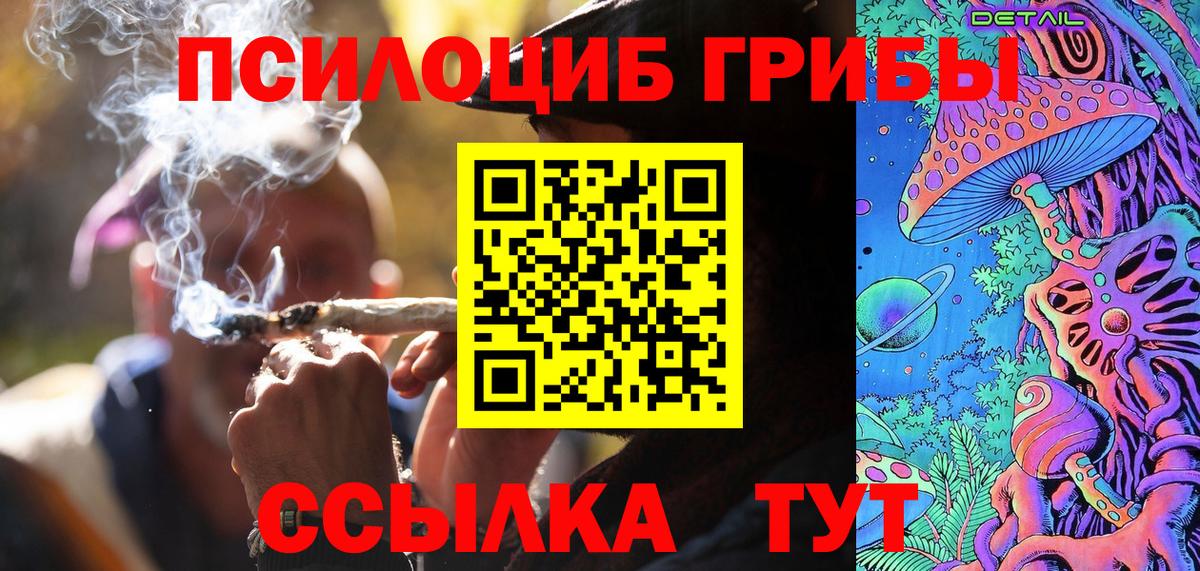 Галлюциногенные грибы Psilocybine cubensis Печора