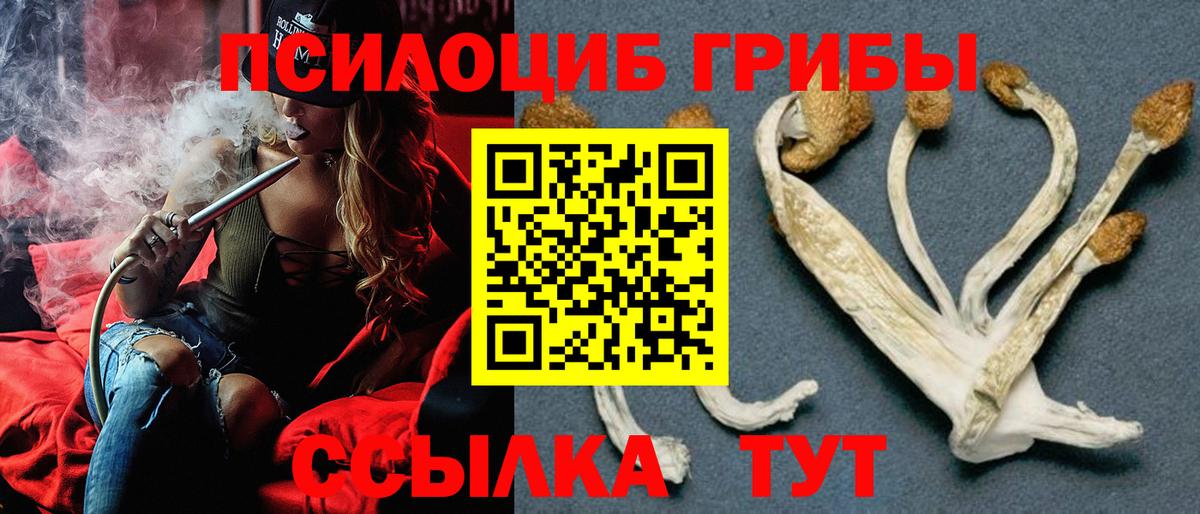 Псилоцибиновые грибы Cubensis  Вход с VPN  Печора 